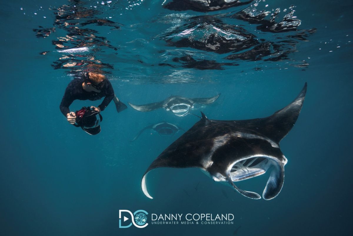Underwater photographer snorkelling with manta rays in Hanifaru Bay, the Maldives. Image by Danny Copeland