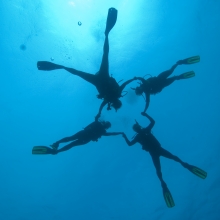Image credit: PADI