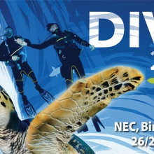 Dive 2013