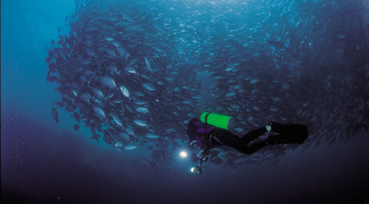 Borneo Divers