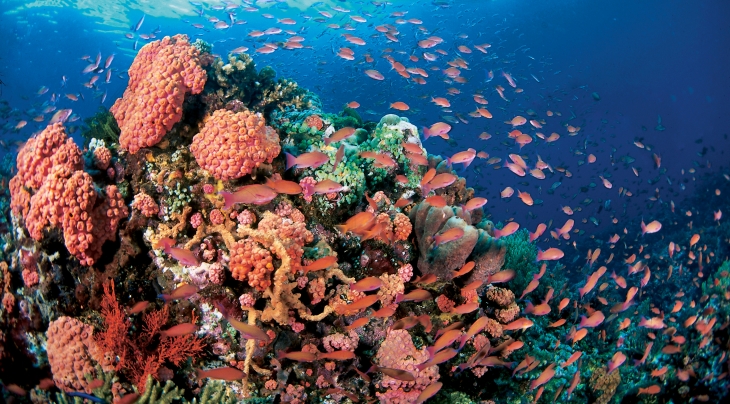 Philippines Tourist Board