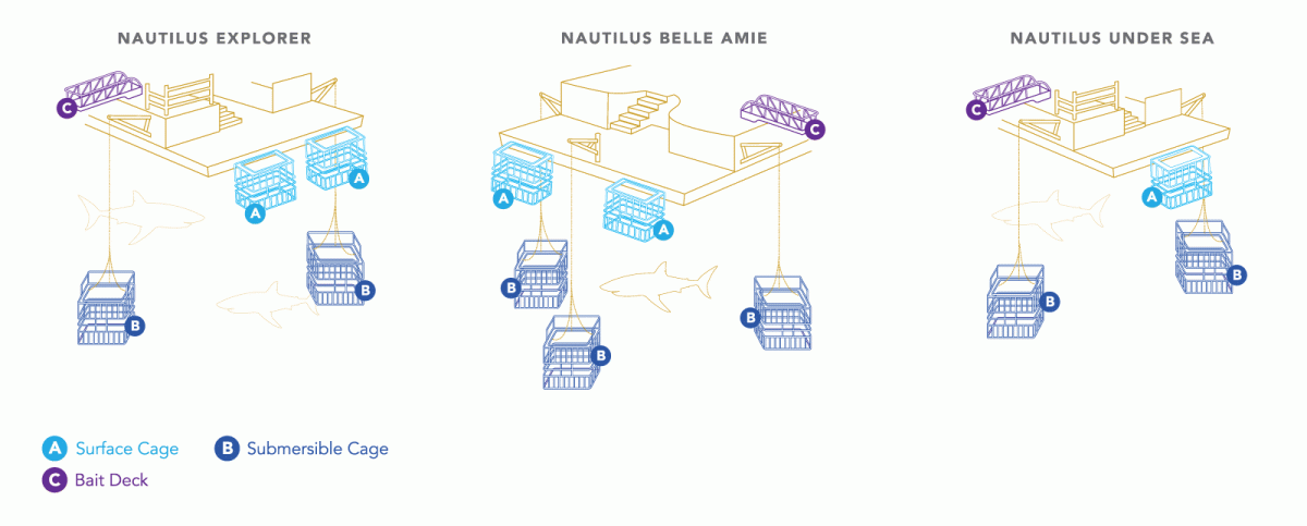 Nautilus Guadalupe Boats and Cages