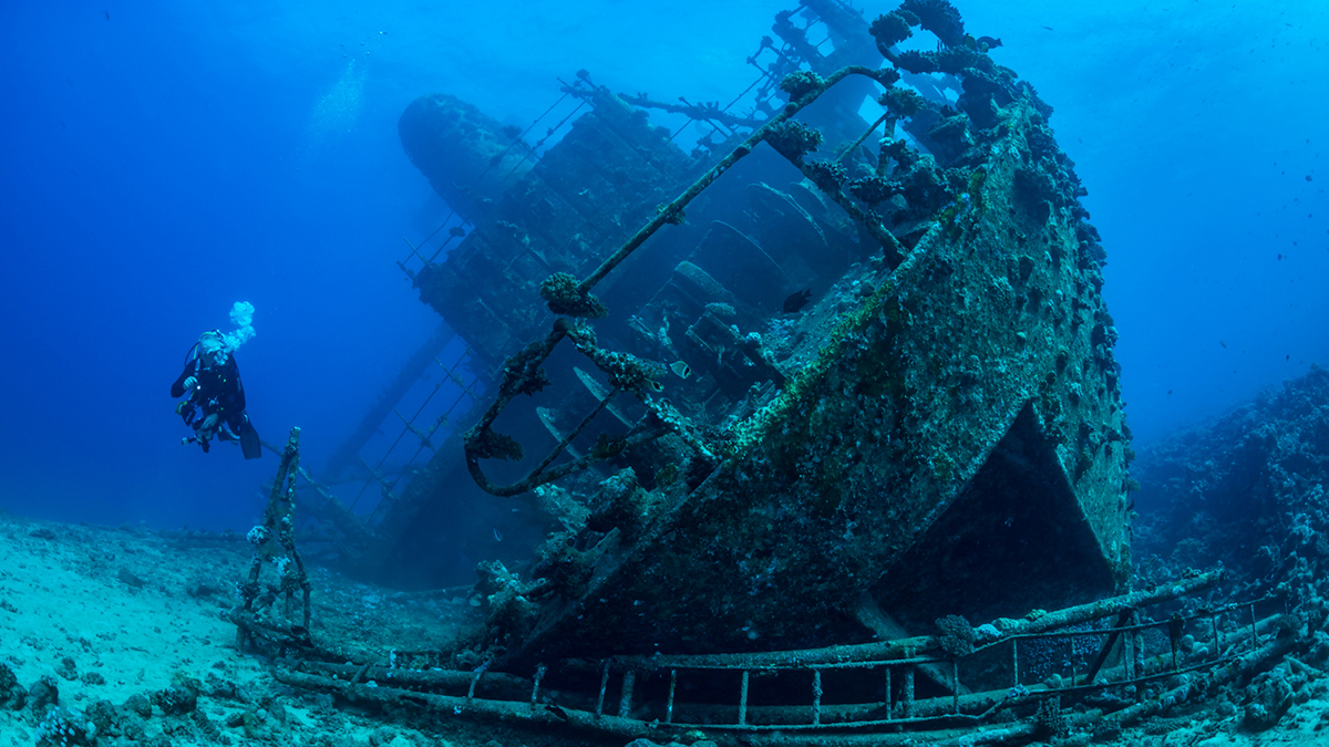 Diver exploring the Giannis D shipwreck in Egypt