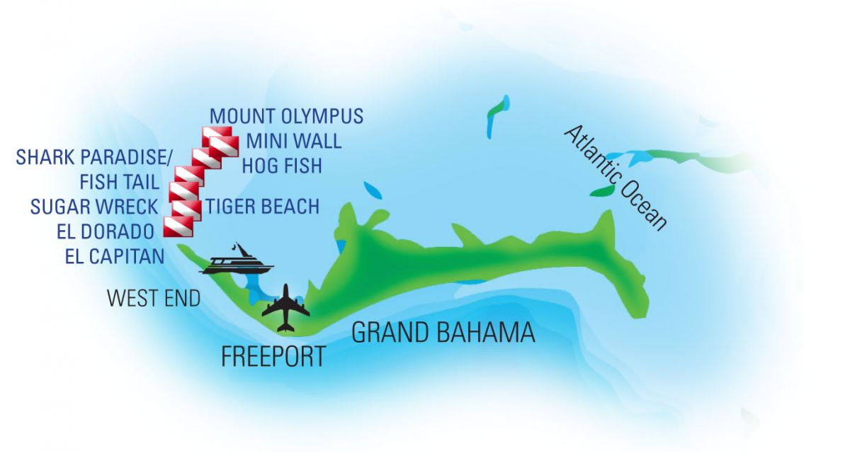 Tiger Beach Dive Sites
