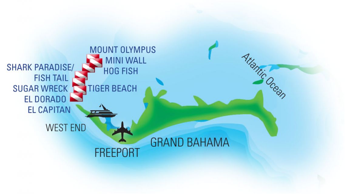 Tiger Beach Dive Sites Tiger Beach Dive Sites