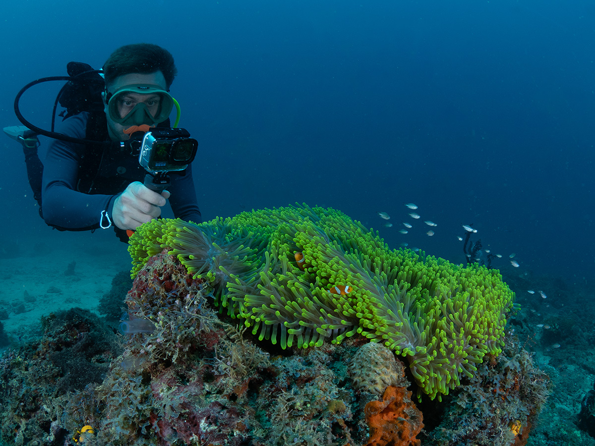 Coral reef in Bird's Head Peninsular, Indonesia. Image by Jo Charter
