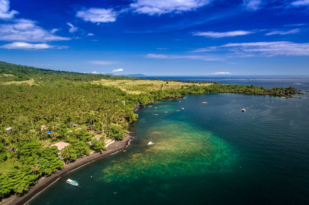 Dive into Lembeh Resort in Indonesia