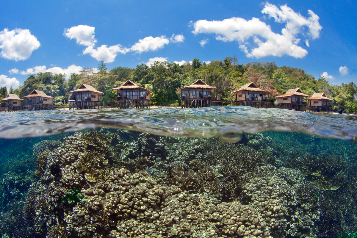 House reef at Papua Paradise Resort in Raja Ampat, Indonesia