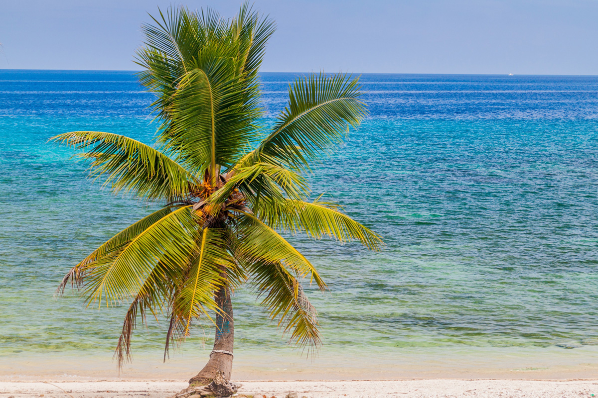 Beach in Bohol, the Philippines