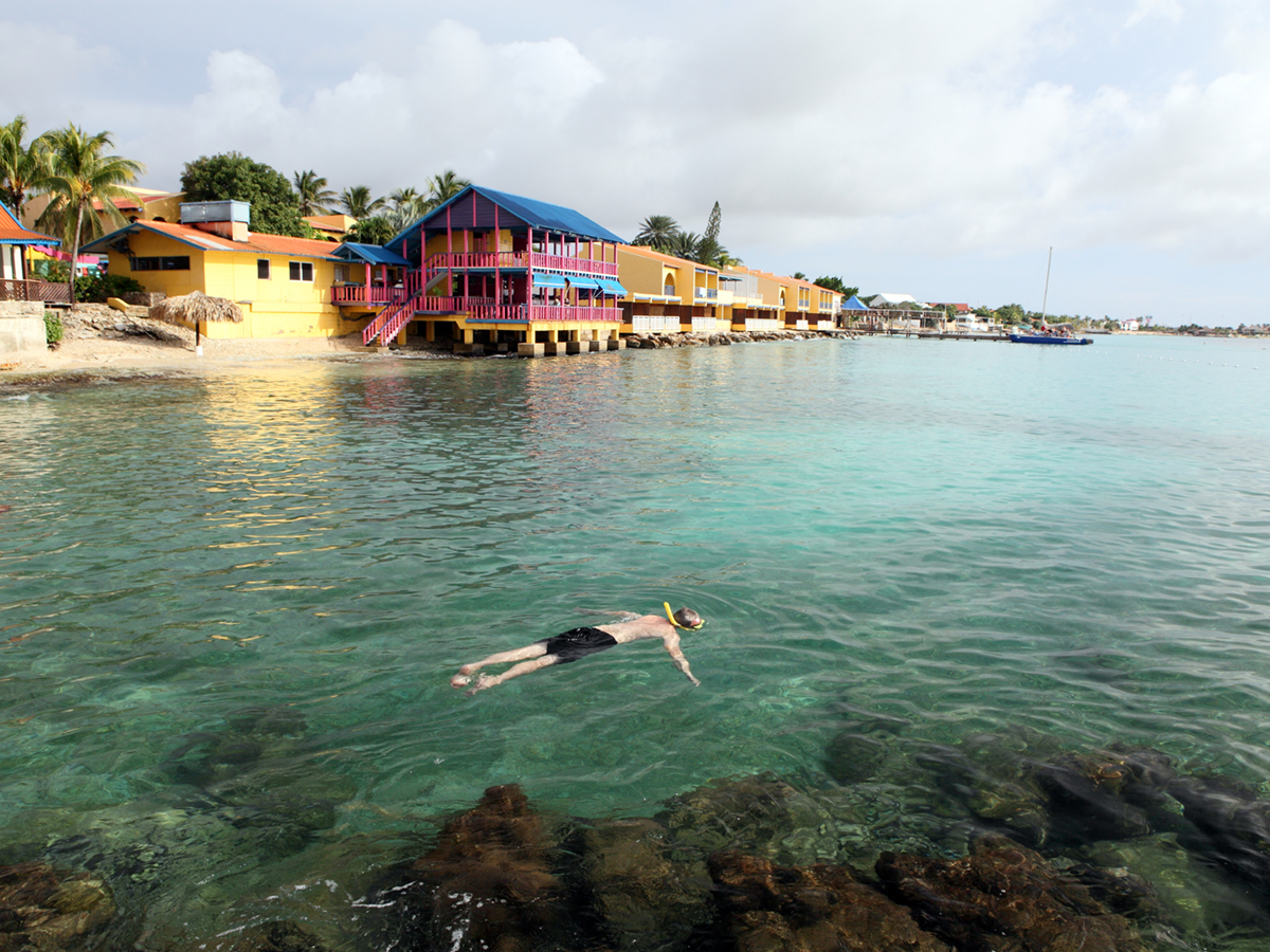 Snorkeller in Bonaire