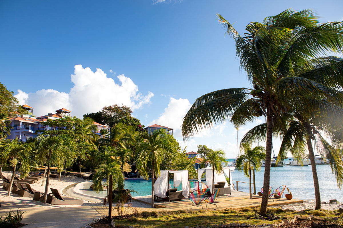 Cocoa pods at True Blue Boutique Resort in Grenada, the Caribbean