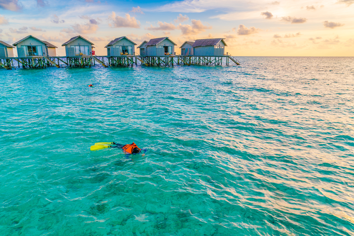 Snorkellers in the Maldives