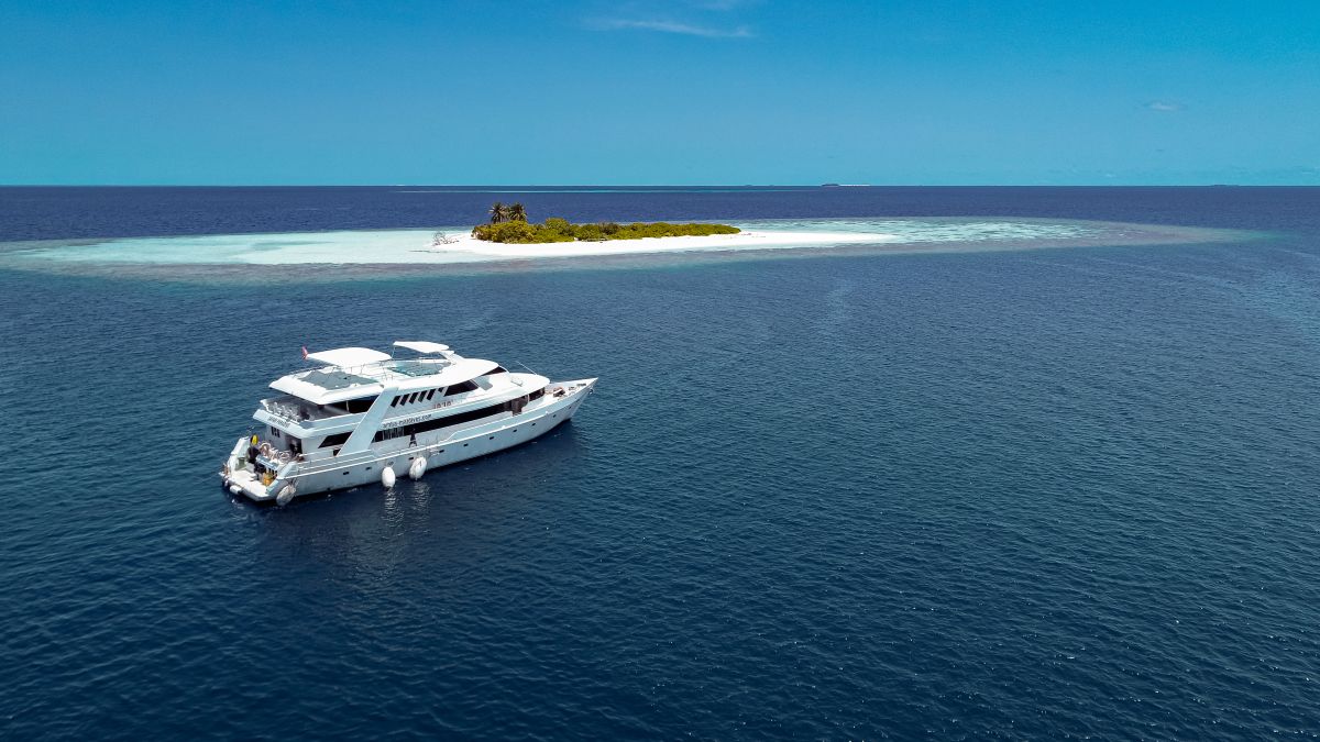 Amba liveaboard in the Maldives