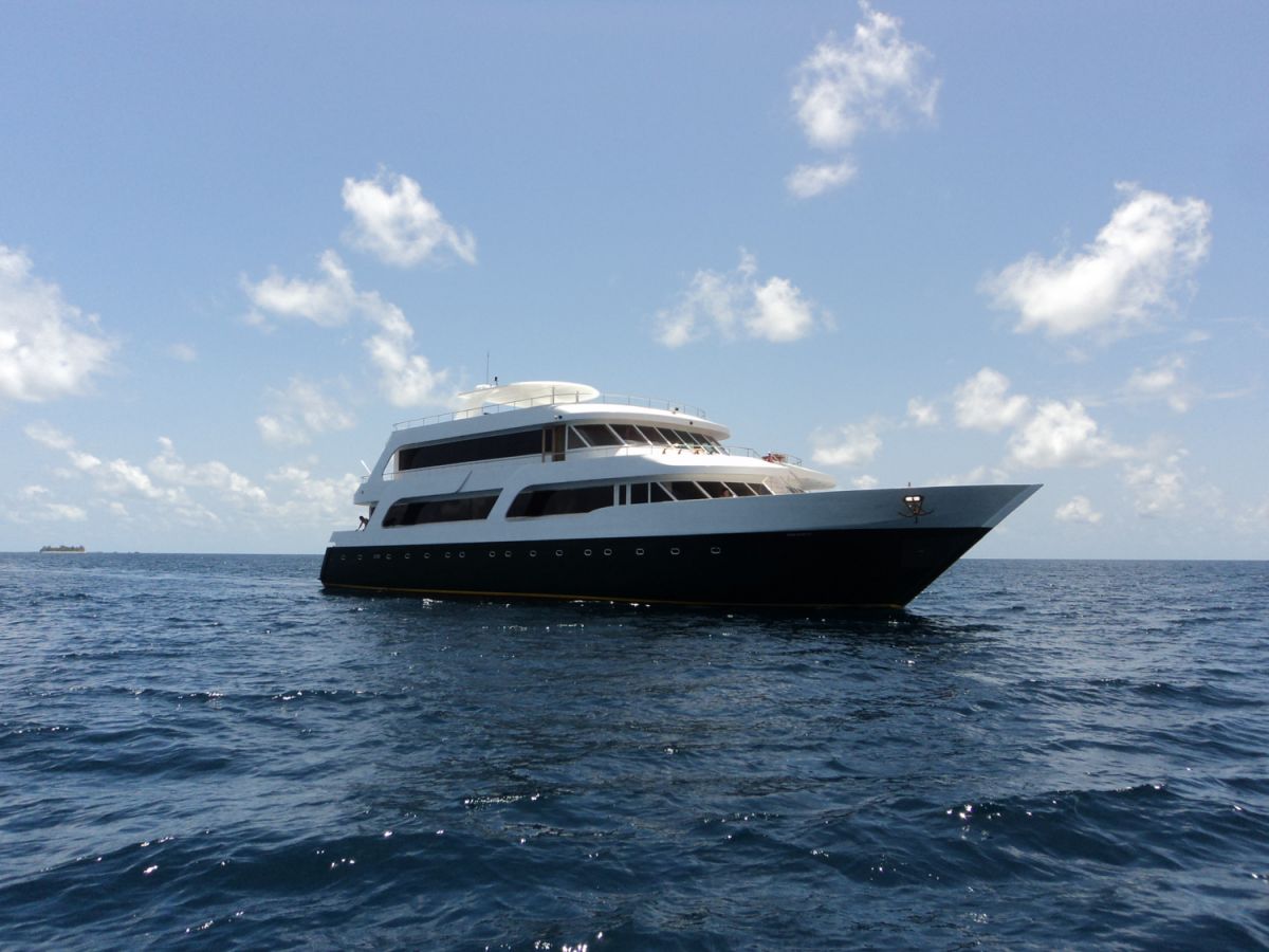 Emperor Leo in the Maldives