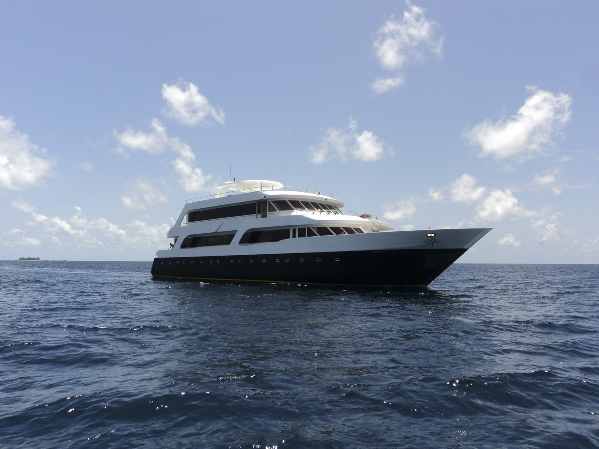 Emperor Leo liveaboard at sea