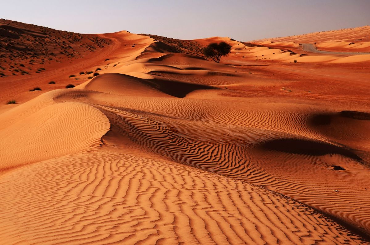 Desert scenery in Oman