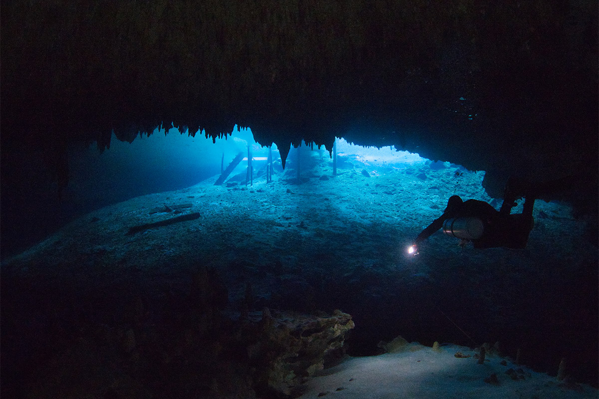 Dream Gate cenote in Riviera Maya, Mexico. Image by Jo Charter