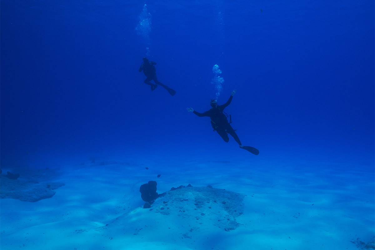 Divers in Riviera Maya, Mexico. Image by Jo Charter