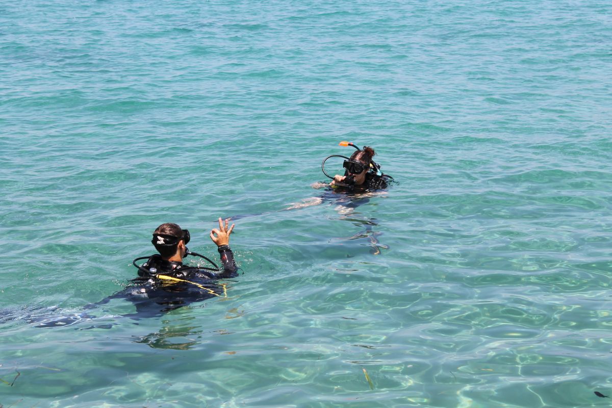 Learning to dive in Malta