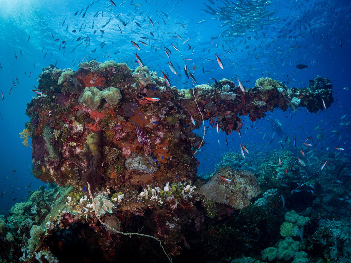 Wreck in Truk Lagoon