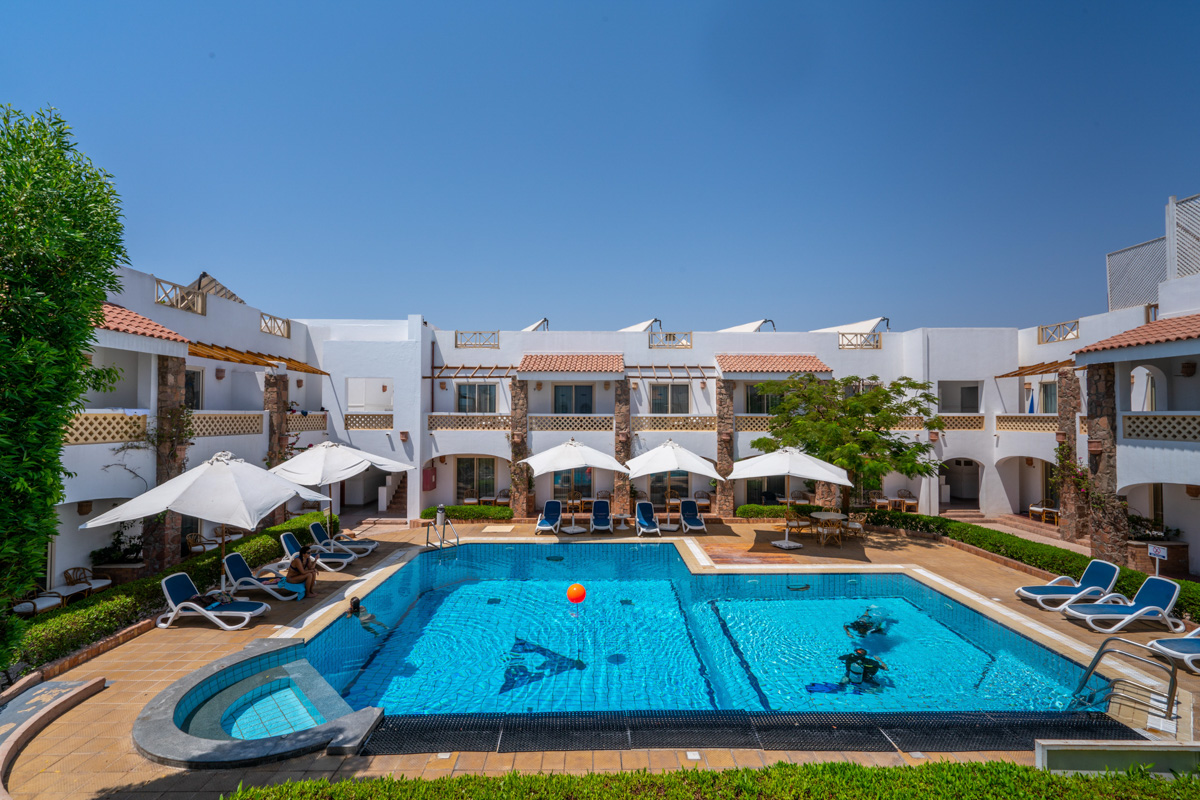 Camel Dive Club hotel and swimming pool