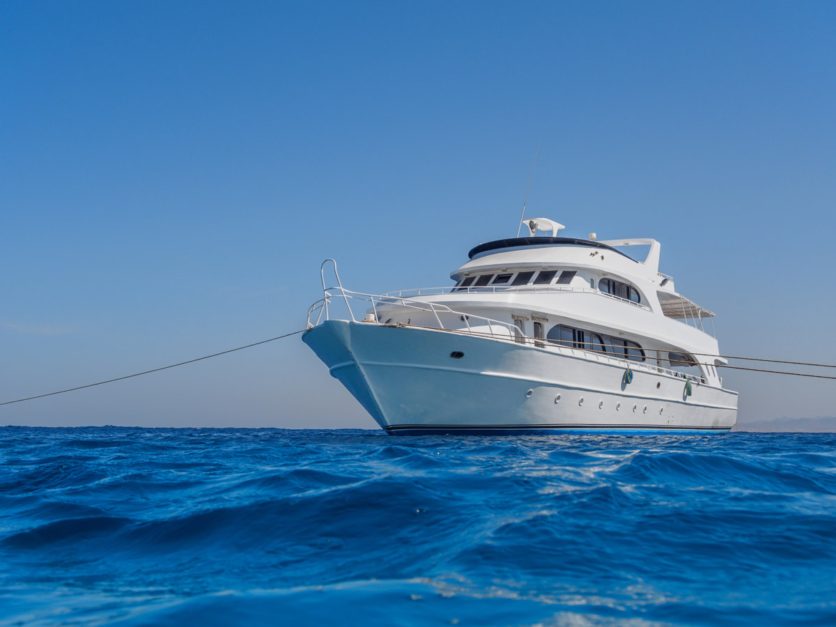 Liveaboard in Egypt