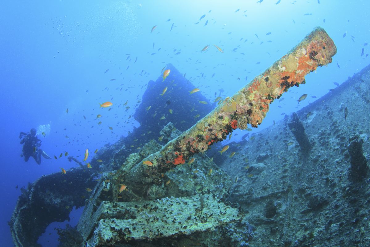 Thistlegorm wreck in Sharm el Sheikh, Egypt