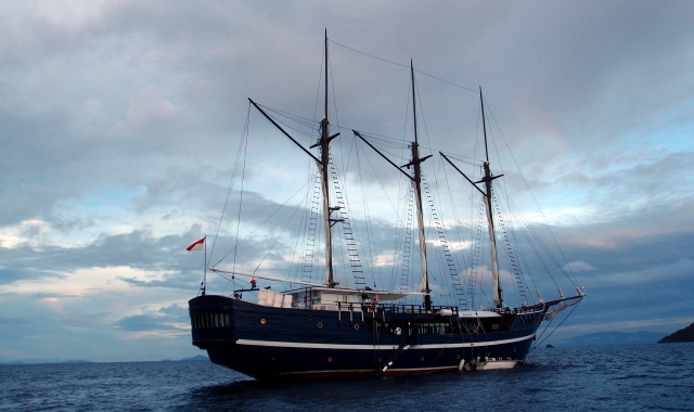 Trip Report Raja Ampat Indonesia Diving Holiday News
