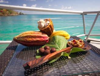 Chocolate Festival, True Blue Bay, Grenada