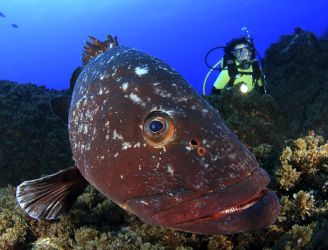 Discover Adventure in the Azores