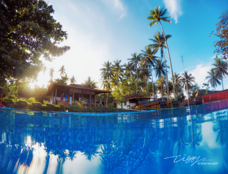 Dive into Lembeh