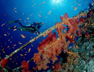 Red Sea Dive Pack Deals