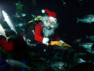 Regaldive Holiday Christmas Gift Vouchers