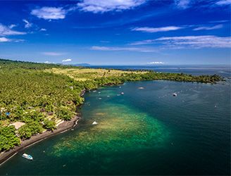 Dive into Lembeh Resort
