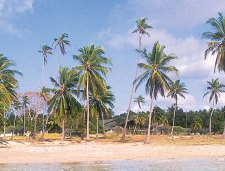 Beach at Basecamp Mafia Island Eco Resort in Tanzania