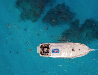 Liveaboard in the Bahamas