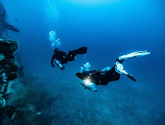 Divers in the Red Sea