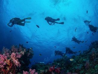 Group of divers and coral reef