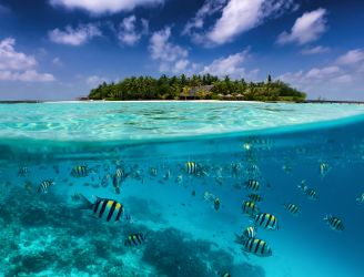 Split view of an island in the Maldives and underwater scene
