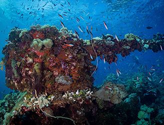 Wreck in Truk Lagoon