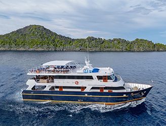 MV Mermaid I liveaboard in Indonesia