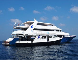 M/Y Blue Voyager liveaboard and dhoni in the Maldives