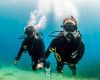 Learning to Dive in Xlendi Bay