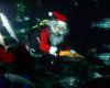 Regaldive Holiday Christmas Gift Vouchers