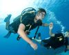 Divers in Thailand