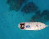 Liveaboard in the Bahamas