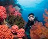 Coral reef and diver