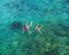 Kids swimming in the sea