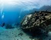 Diver exploring a shipwreck in Egypt