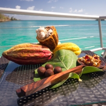 Chocolate Festival, True Blue Bay, Grenada